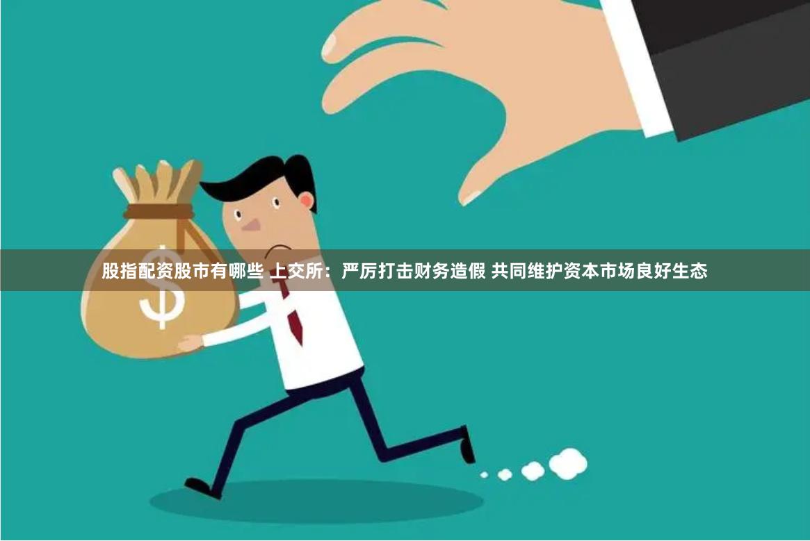 股指配资股市有哪些 上交所：严厉打击财务造假 共同维护资本市场良好生态