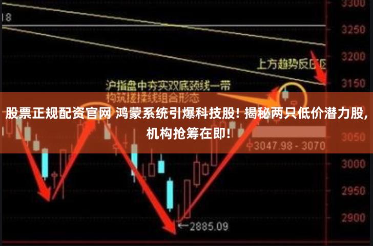 股票正规配资官网 鸿蒙系统引爆科技股! 揭秘两只低价潜力股, 机构抢筹在即!