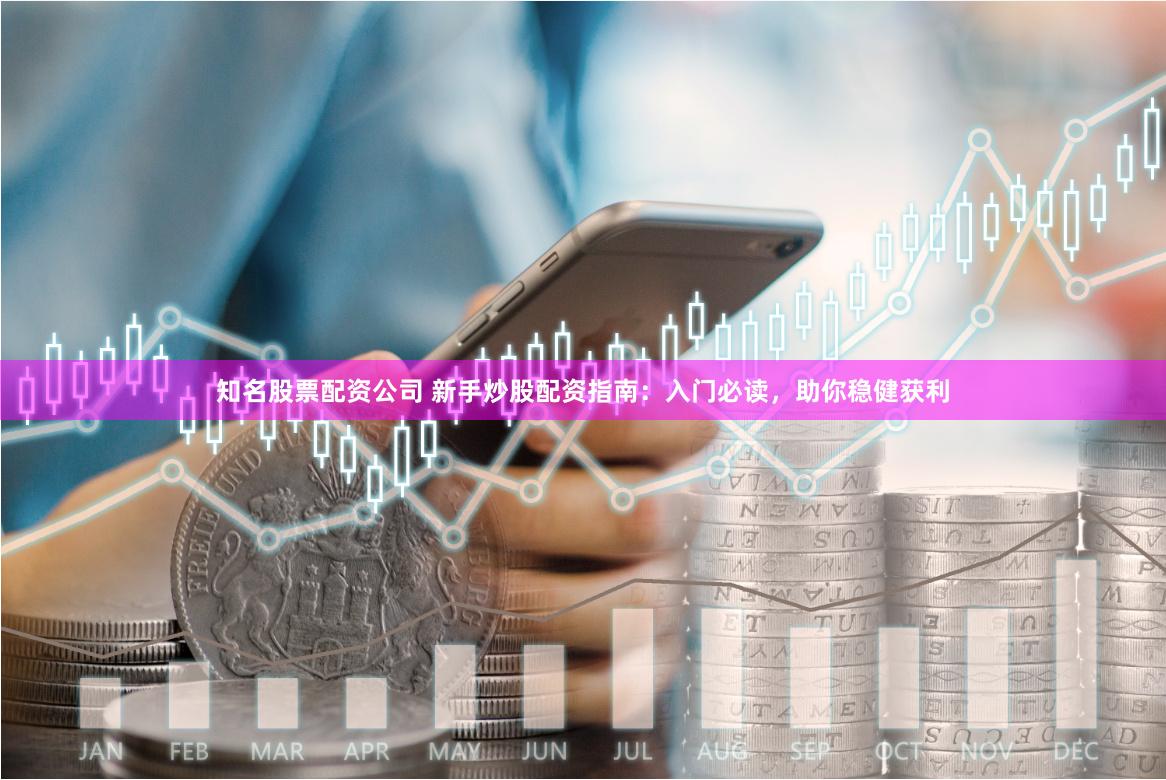 知名股票配资公司 新手炒股配资指南：入门必读，助你稳健获利