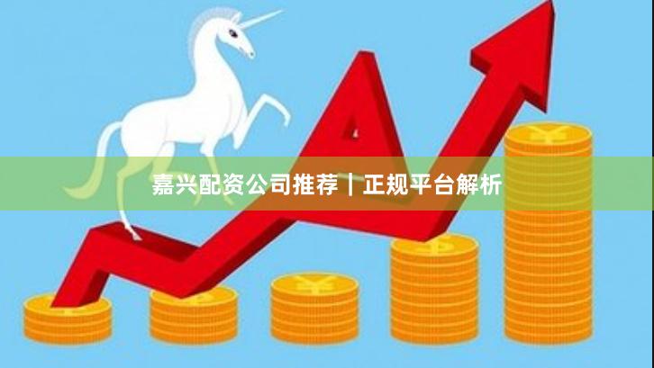 嘉兴配资公司推荐｜正规平台解析